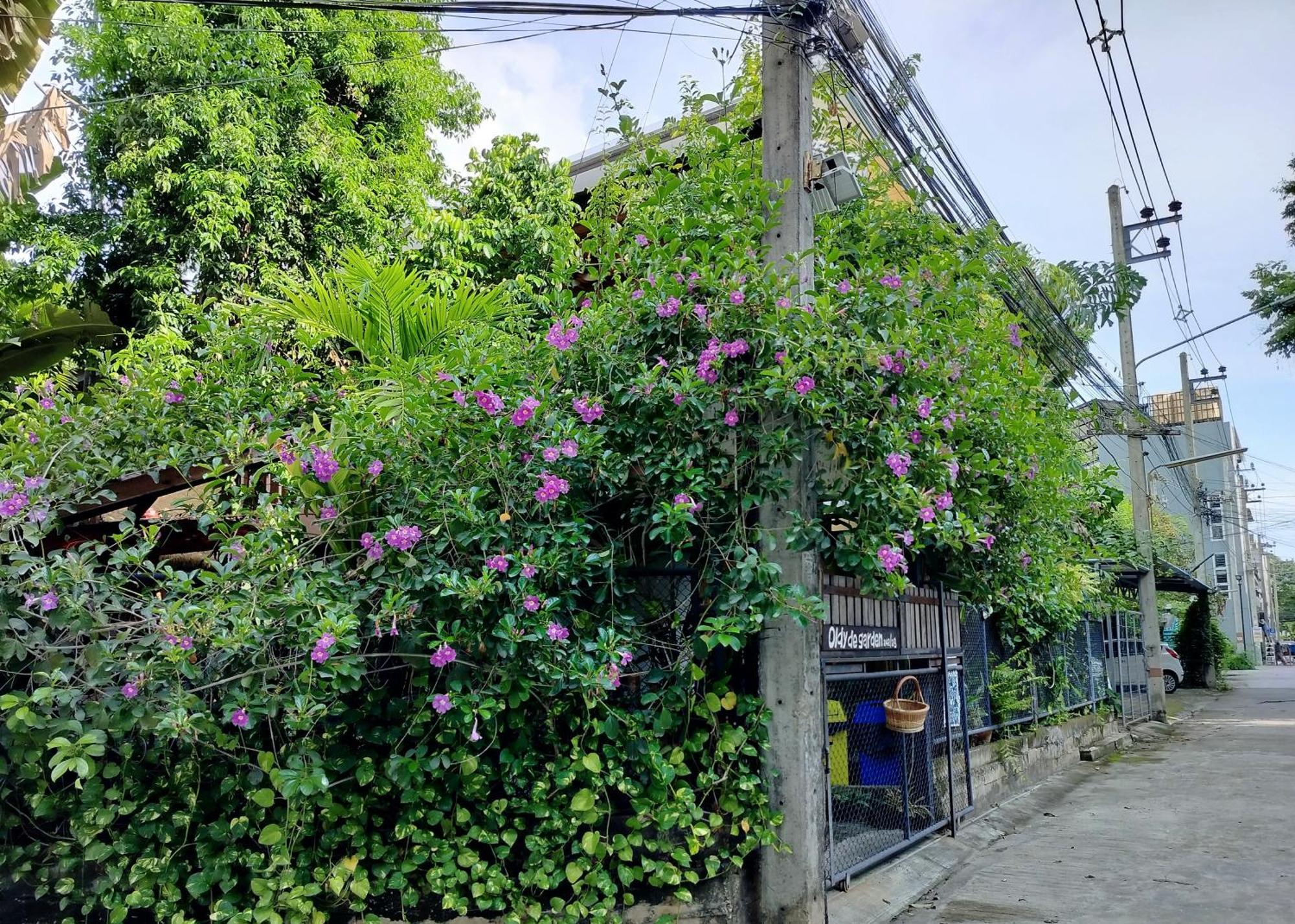 الشقق الفندقية شيانغ مايفي  Oldy De Garden المظهر الخارجي الصورة