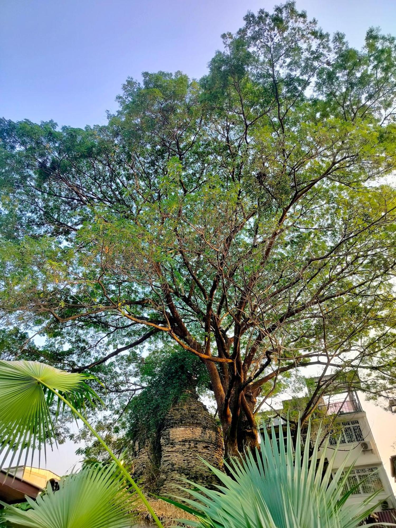 الشقق الفندقية شيانغ مايفي  Oldy De Garden المظهر الخارجي الصورة