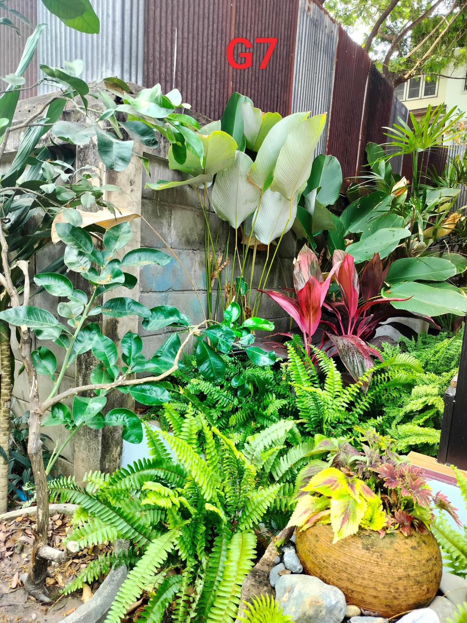 الشقق الفندقية شيانغ مايفي  Oldy De Garden المظهر الخارجي الصورة